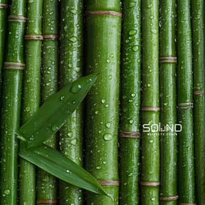 Rain on Bamboo Leaves - Sound Effects Zone