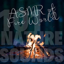 ASMR of Fire World - 101 Nature Sounds