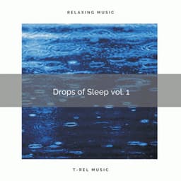 Drops of Sleep vol. 1 - elderflowers