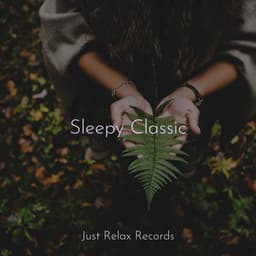 Sleepy Classic - Spa