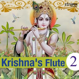 Krishna's Flute, Vol. 2 - Ronu Majumdar