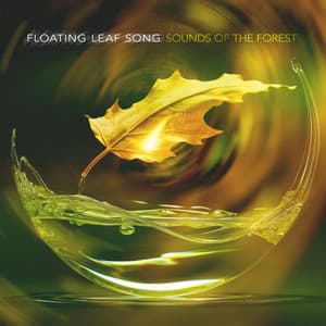 Floating Leaf Song - Sounds of the Forest