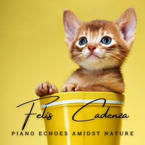 Felis Cadenza: Piano Echoes Amidst Nature - Piano Zones