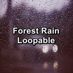 Forest Rain Loopable - Sleep Music System