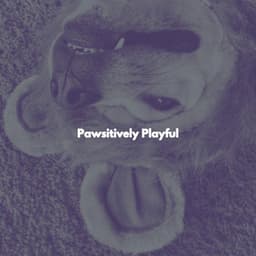 Pawsitively Playful - Klaviermusik