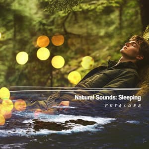 Natural Sounds: Sleeping - Petalura
