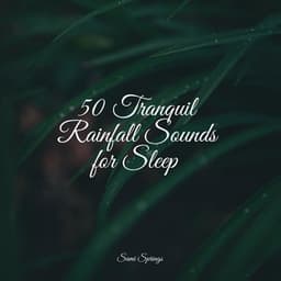 50 Tranquil Rainfall Sounds for Sleep - Thunder and Rain Storm