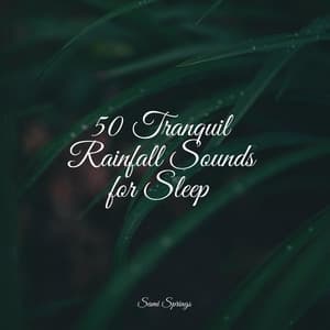 50 Tranquil Rainfall Sounds for Sleep - Thunder and Rain Storm