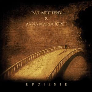 Upojenie - Pat Metheny