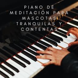 Refugio Pacífico Para Mascotas: Piano De Meditación Para Mascotas Tranquilas Y Contentas - Pianoramix