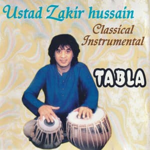 Classical Instrumental TABLA - Zakir Hussain