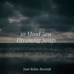 50 Mood Zen Dreaming Songs - MÚSICA PARA NIÑOS