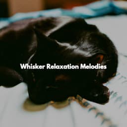 Whisker Relaxation Melodies - Jazz Alegre para Hoteles
