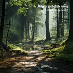 Klänge für ganzheitliche Heilung: Eine Sammlung von Meditationsmusik - Entspannungs Echo