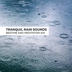 Tranquil Rain Sounds: Bedtime and Meditation Aid - Serenity Stream