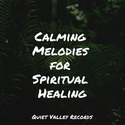 Calming Melodies for Spiritual Healing - Sleep Recording Sounds
