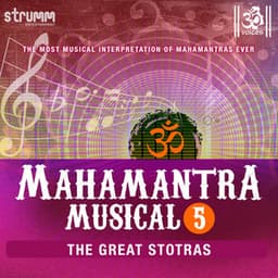 Mahamantra Musical , Vol. 5 - Om Voices