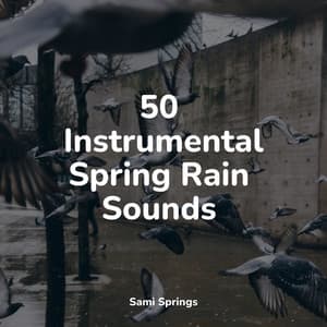 50 Instrumental Spring Rain Sounds - Relaxation Sleep Meditation