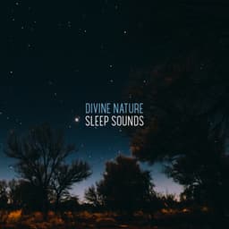 Divine Nature Sleep Sounds - Lovely Nature Music Zone