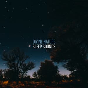 Divine Nature Sleep Sounds - Lovely Nature Music Zone
