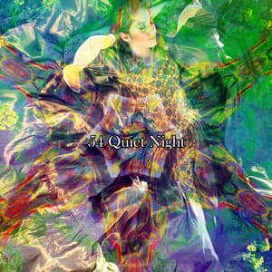 54 Quiet Night - Chill Out 2016