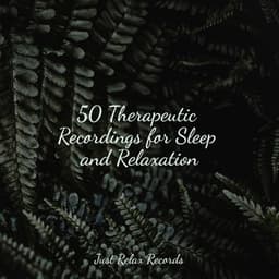50 Therapeutic Recordings for Sleep and Relaxation - Guided Meditation