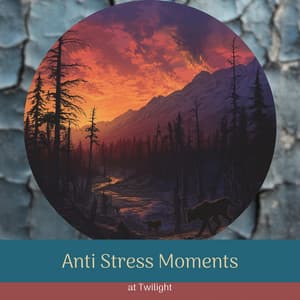 Anti Stress Moments at Twilight - Night Ambience Lovers