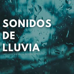 Sonidos De Lluvia: Las Lluvias En La Noche Vol. 1 - Sonido Del Bosque y Naturaleza