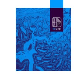 Deep Breath - 8D Lab - Meditation Music