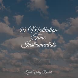 50 Meditation Time Instrumentals - Guided Meditation