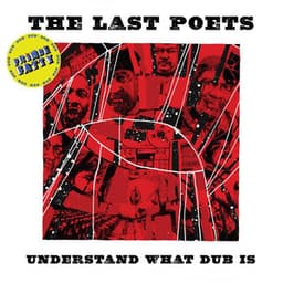 Understand What Dub Is - The Last Poets