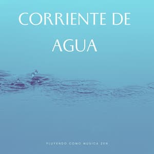 Corriente De Agua Fluyendo Como Música Zen - Sonidos De Agua
