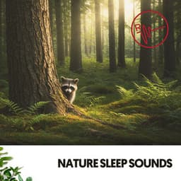Nature Sleep Sounds: Dreaming with the Whispering Trees - Ruido Blanco Hart