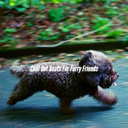Chill Out Beats For Furry Friends - Relaxing Dogs