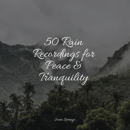 50 Rain Recordings for Peace & Tranquility - Rain Sounds & Nature Sounds