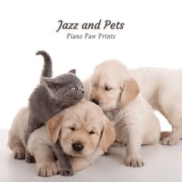 Jazz and Pets: Piano Paw Prints - Smooth Jazz