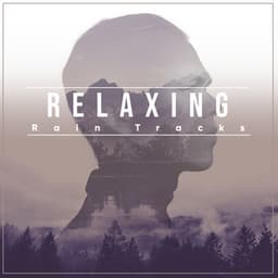#1 Hour Relaxing Rain Tracks for Deep Sleep - Deep Rain Sampling