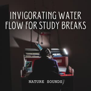 Nature Sounds: Invigorating Water Flow for Study Breaks - Calming Water