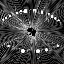 Common Ground - Sebastian Rochford