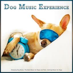 Dog Music Experience: Sleeping Dog Music, The Best Music for Dogs and Pets, Calming Music for Dogs - Dog Music Experience