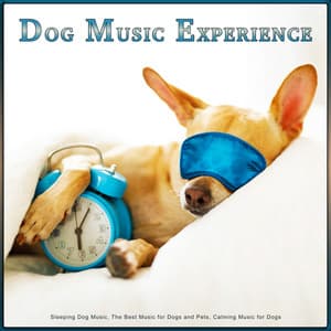 Dog Music Experience: Sleeping Dog Music, The Best Music for Dogs and Pets, Calming Music for Dogs - Dog Music Experience