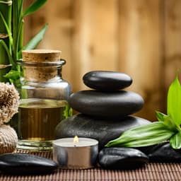 Spa Tranquility: Relaxing Hip Hop - The Spa Collection