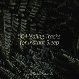50 Healing Tracks for Instant Sleep - Shakuhachi Sakano