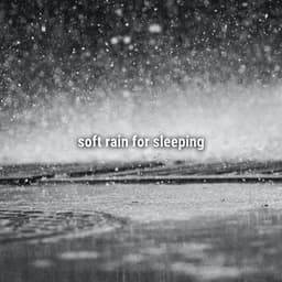 soft rain for sleeping - Sound Effects Library