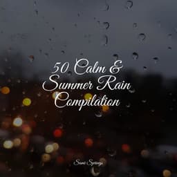 50 Calm & Summer Rain Compilation - Deep Focus