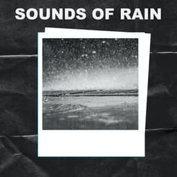 Sounds of Rain - Sounds of Rain