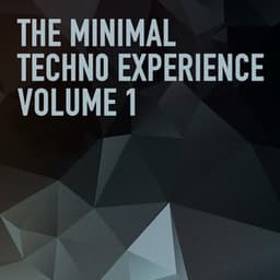 The Minimal Techno Experience - Minimal Techno