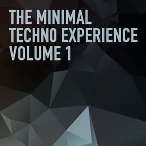 The Minimal Techno Experience - Minimal Techno