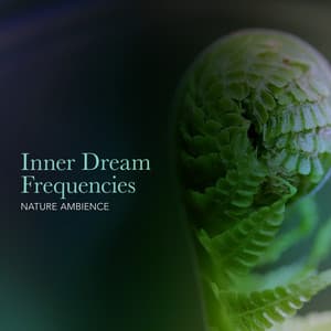 Inner Dream Frequencies - Nature Ambience
