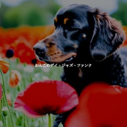 わんこのデイ・ジャズ・ファンク - Frühstück Jazz